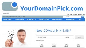 how to get a domain name screenshot